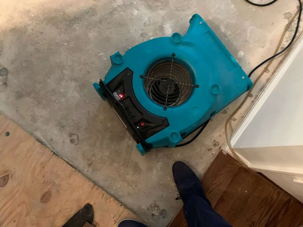 Air mover drying subfloor during Commercial Water Damage Restoration in Somerville
